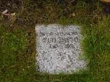 image of grave number 376510